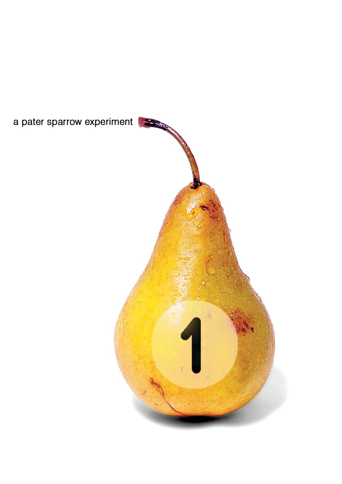 1 poster
