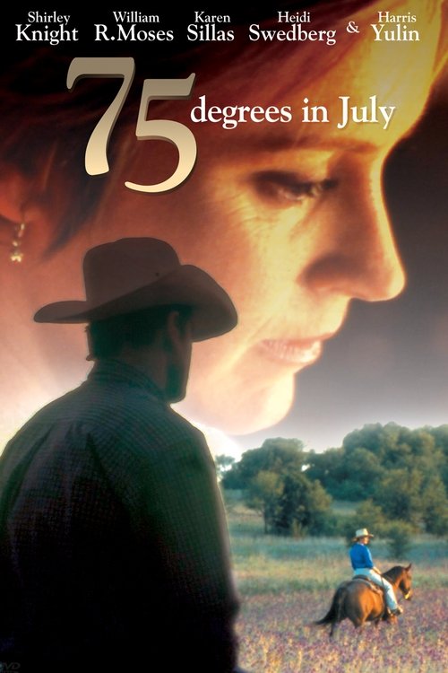 75 Degrees in July poster