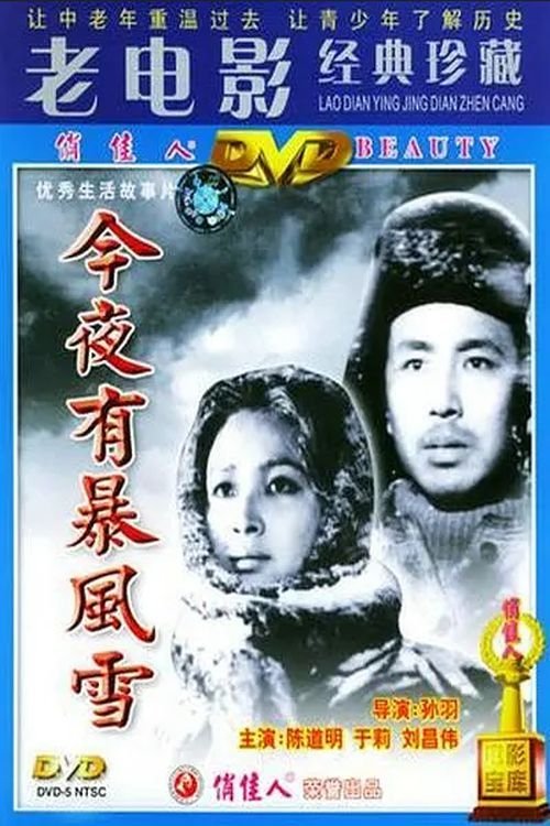 A Storm Will Come Tonight poster