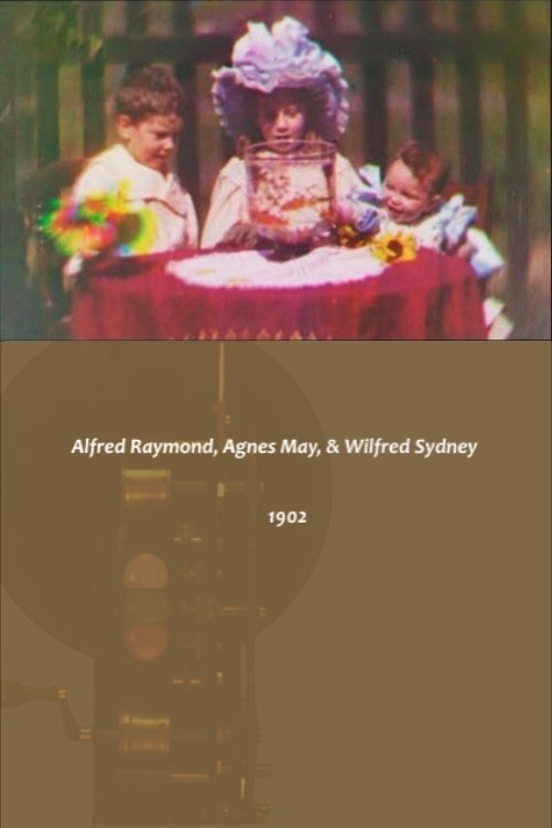 Alfred Raymond, Agnes May, & Wilfred Sydney poster