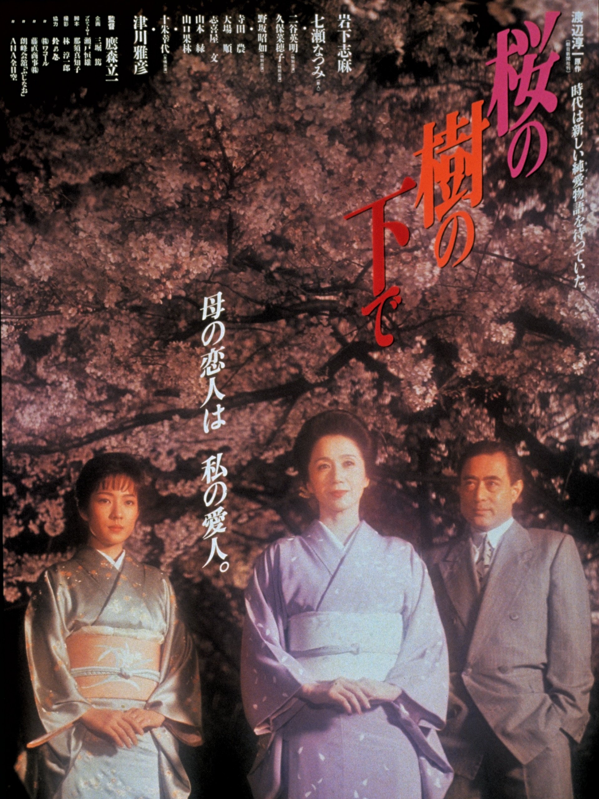 Cherry Blossoms poster