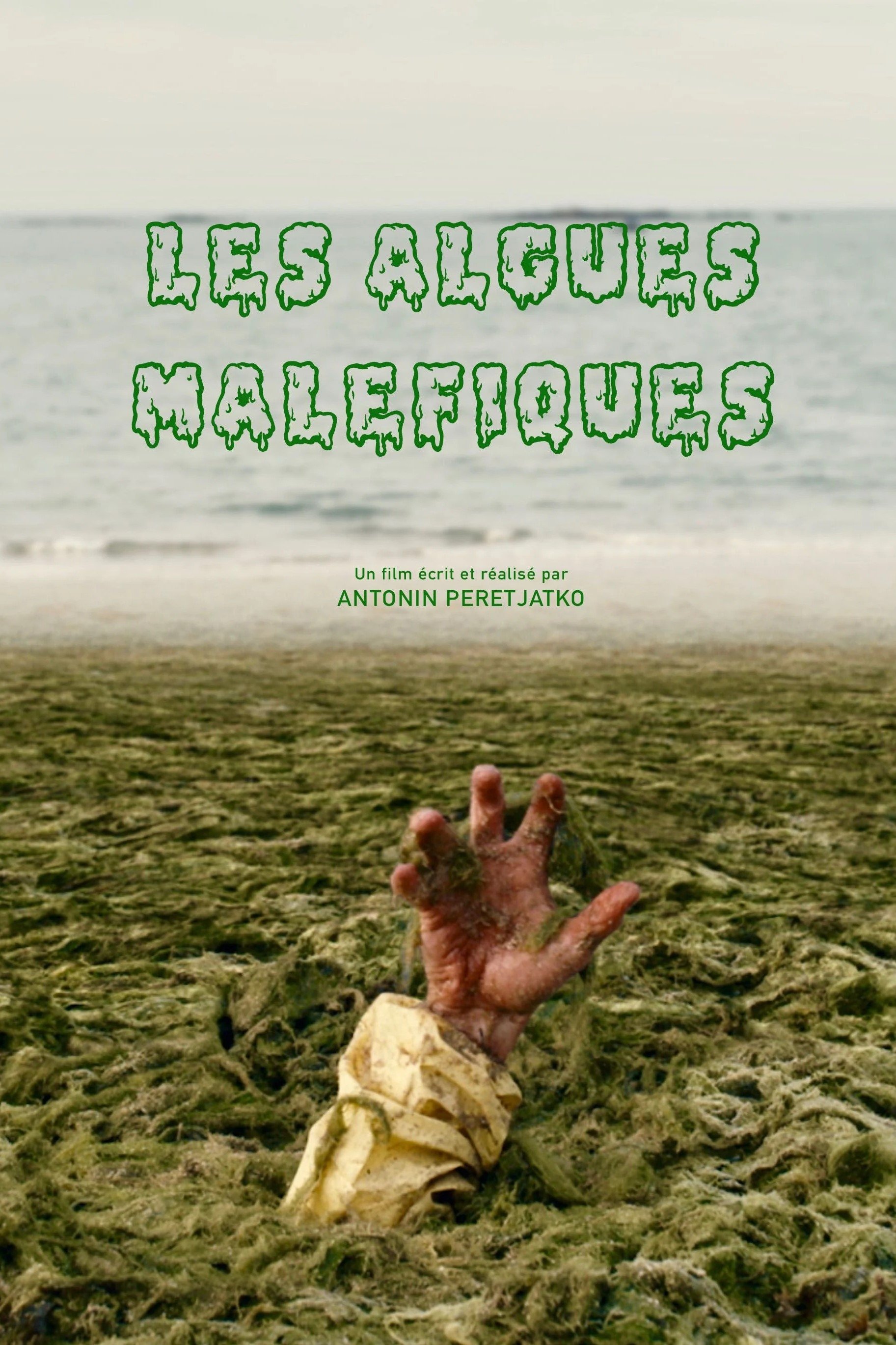 Evil Seaweed poster