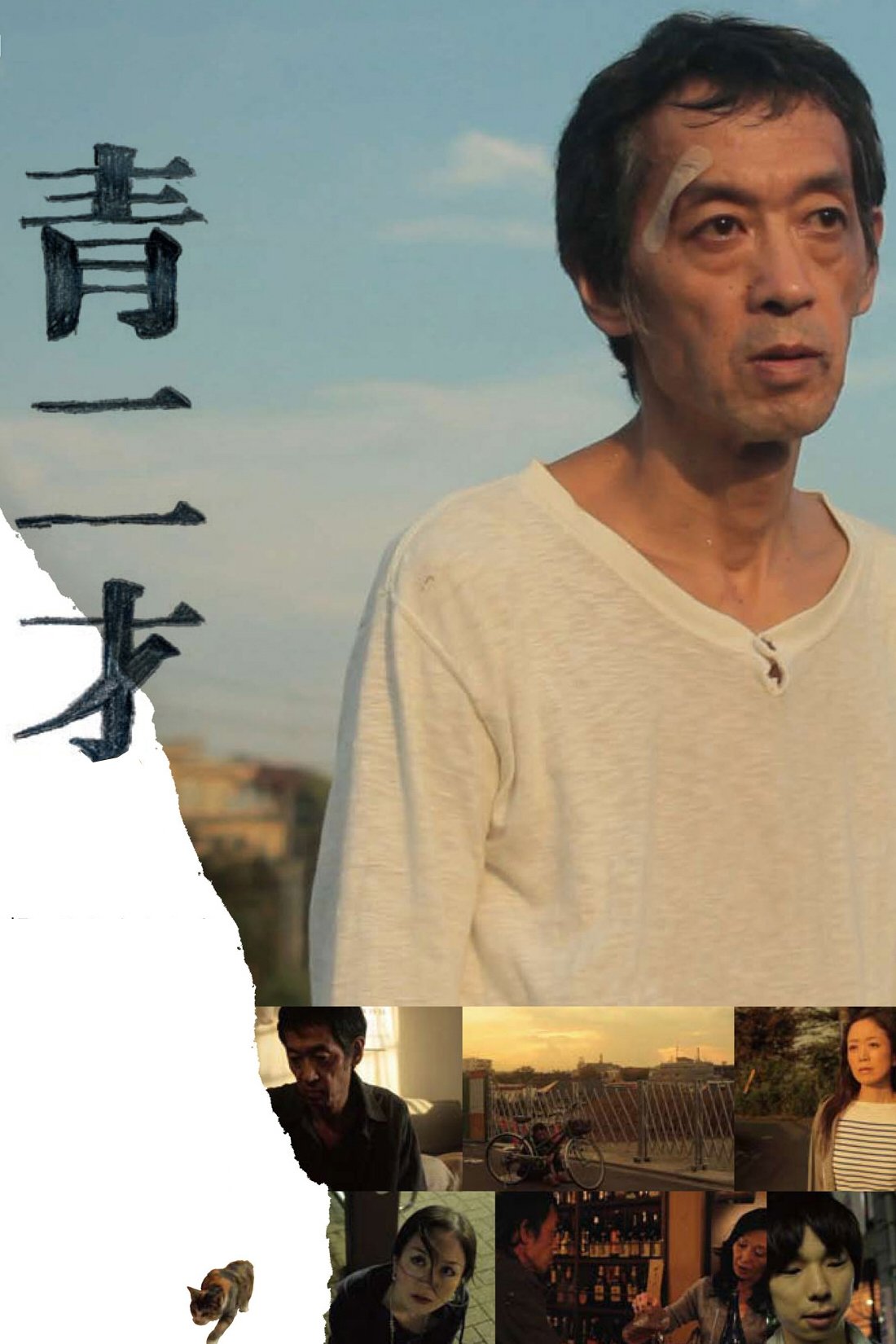 Greenhorn poster