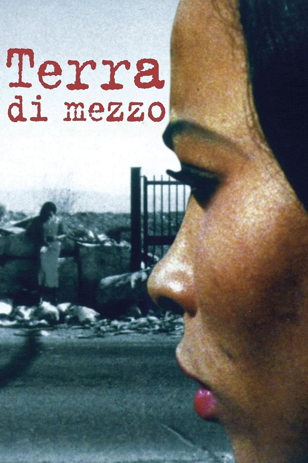 Land In Between poster
