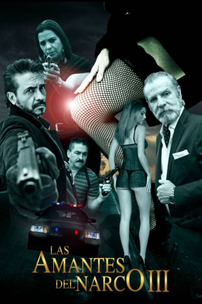 Las amantes del narco III poster