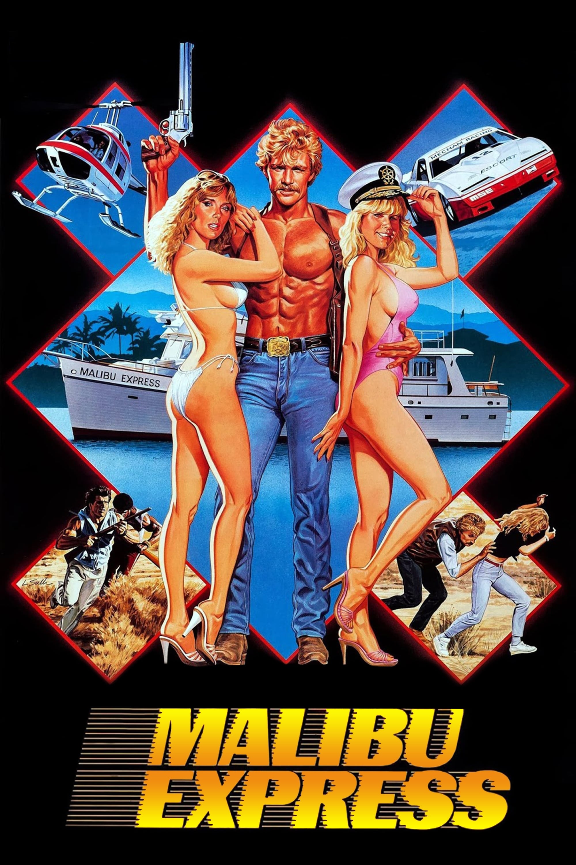 Malibu Express poster