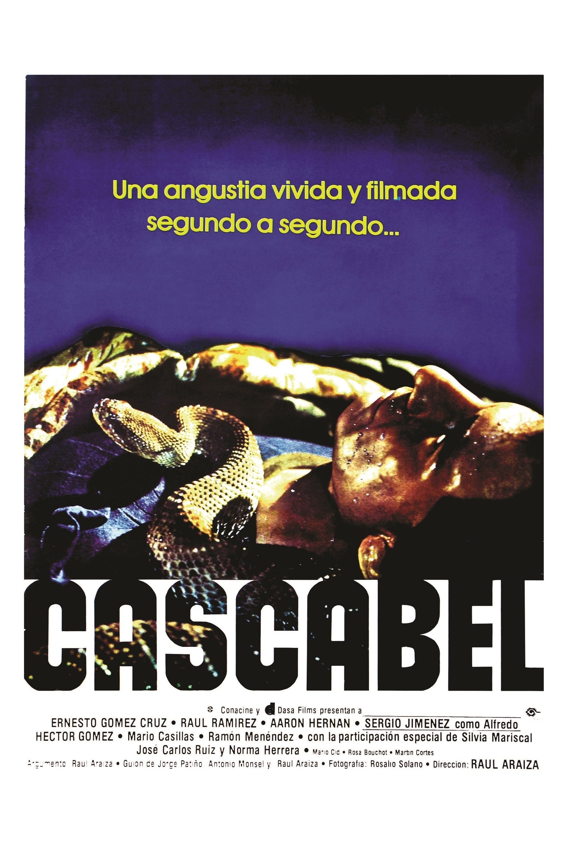Rattlesnake poster