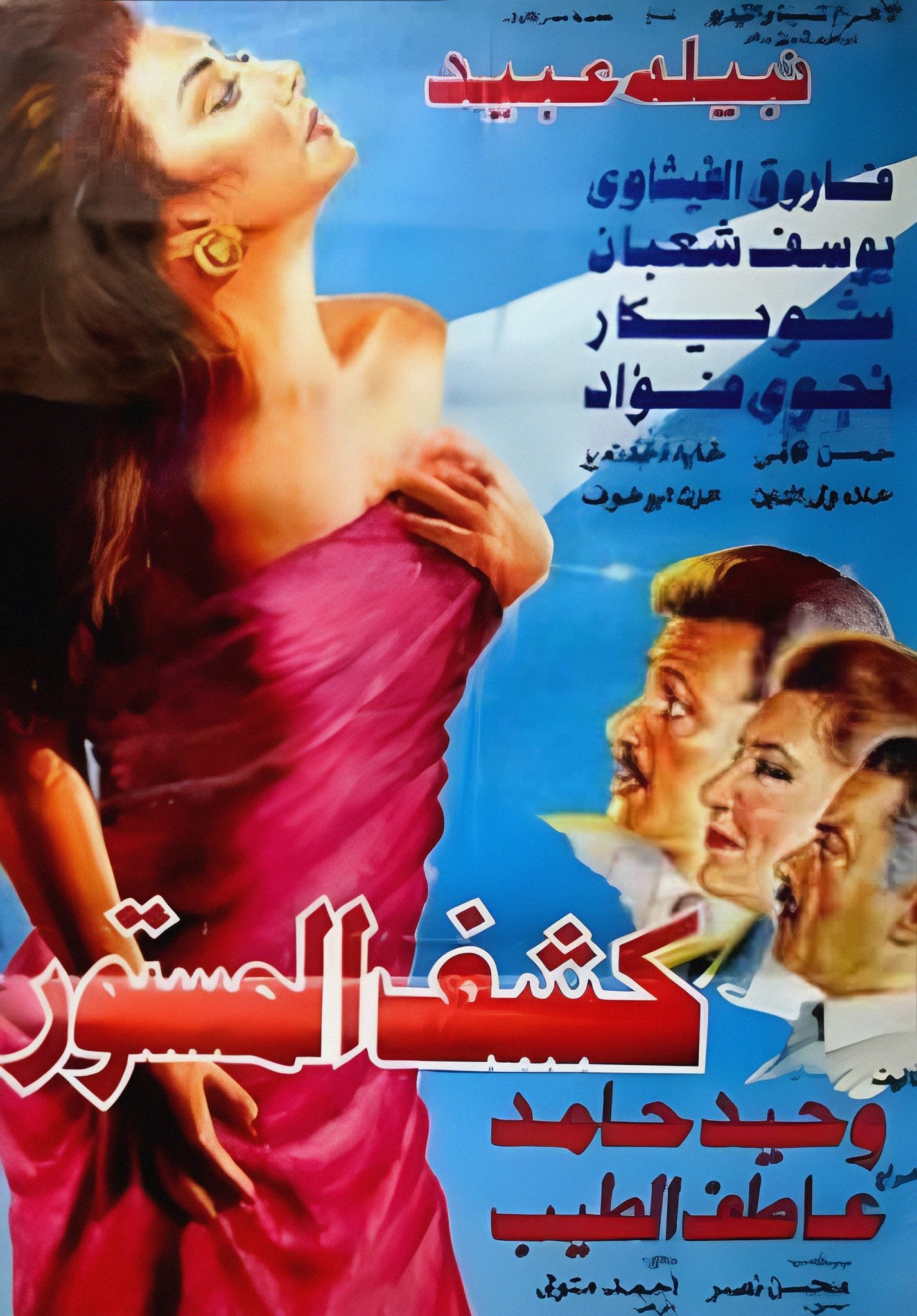 Revealing the Hidden poster