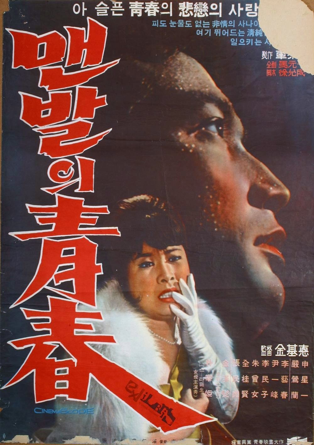 The Barefooted Young poster