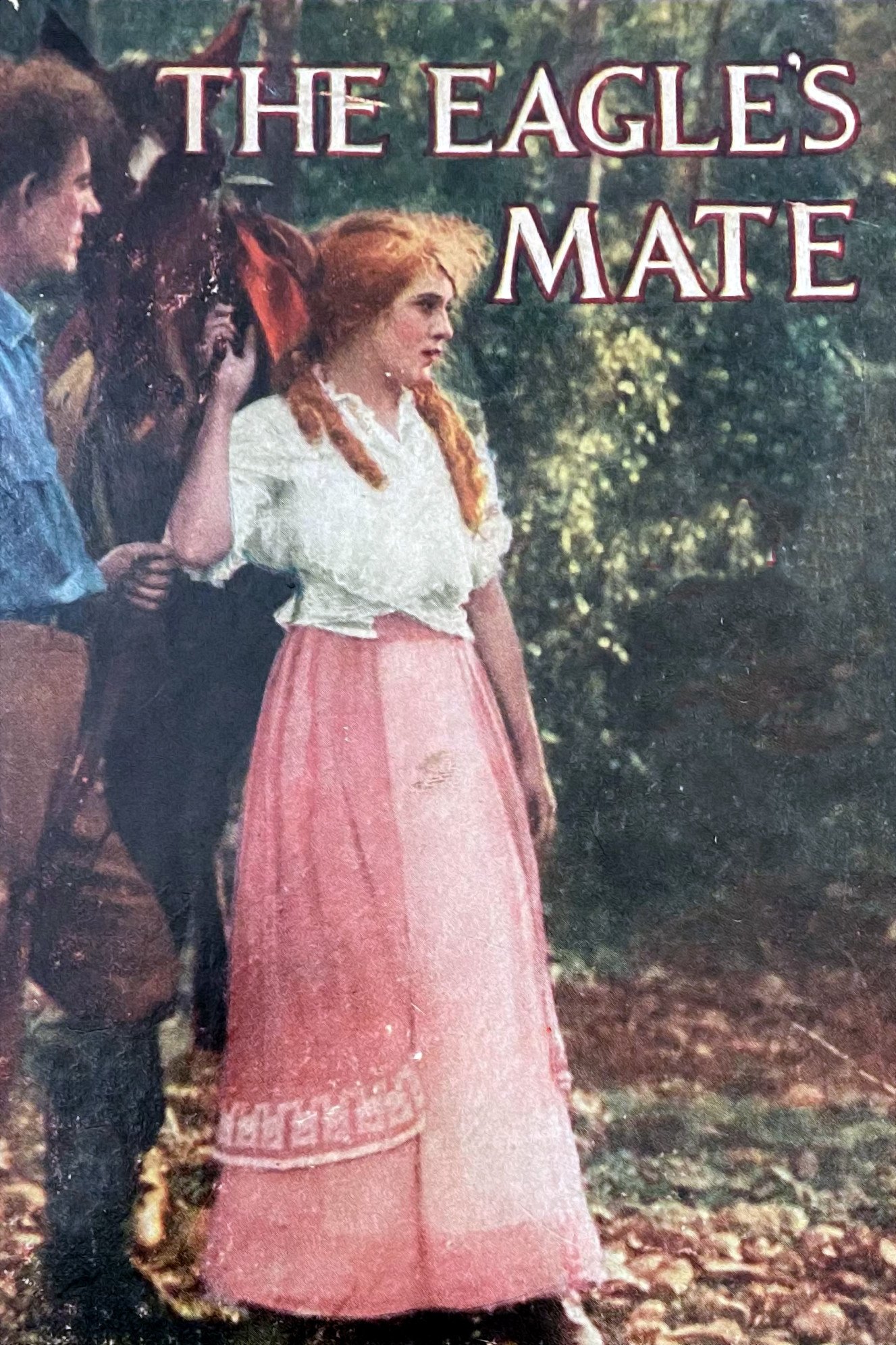 The Eagle's Mate poster