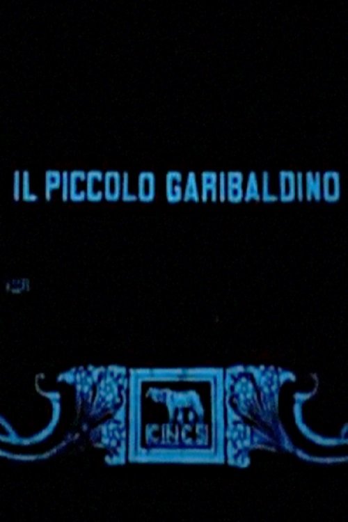 The Garibaldi Boy poster