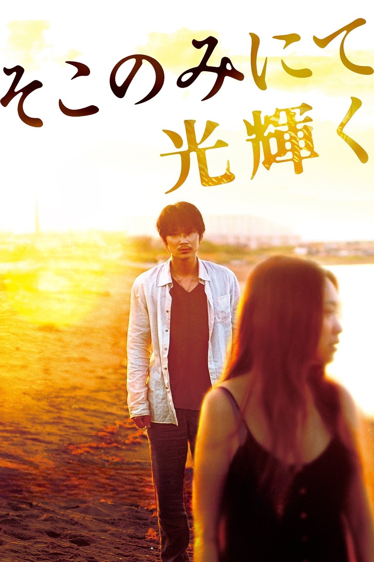 The Light Shines Only There poster