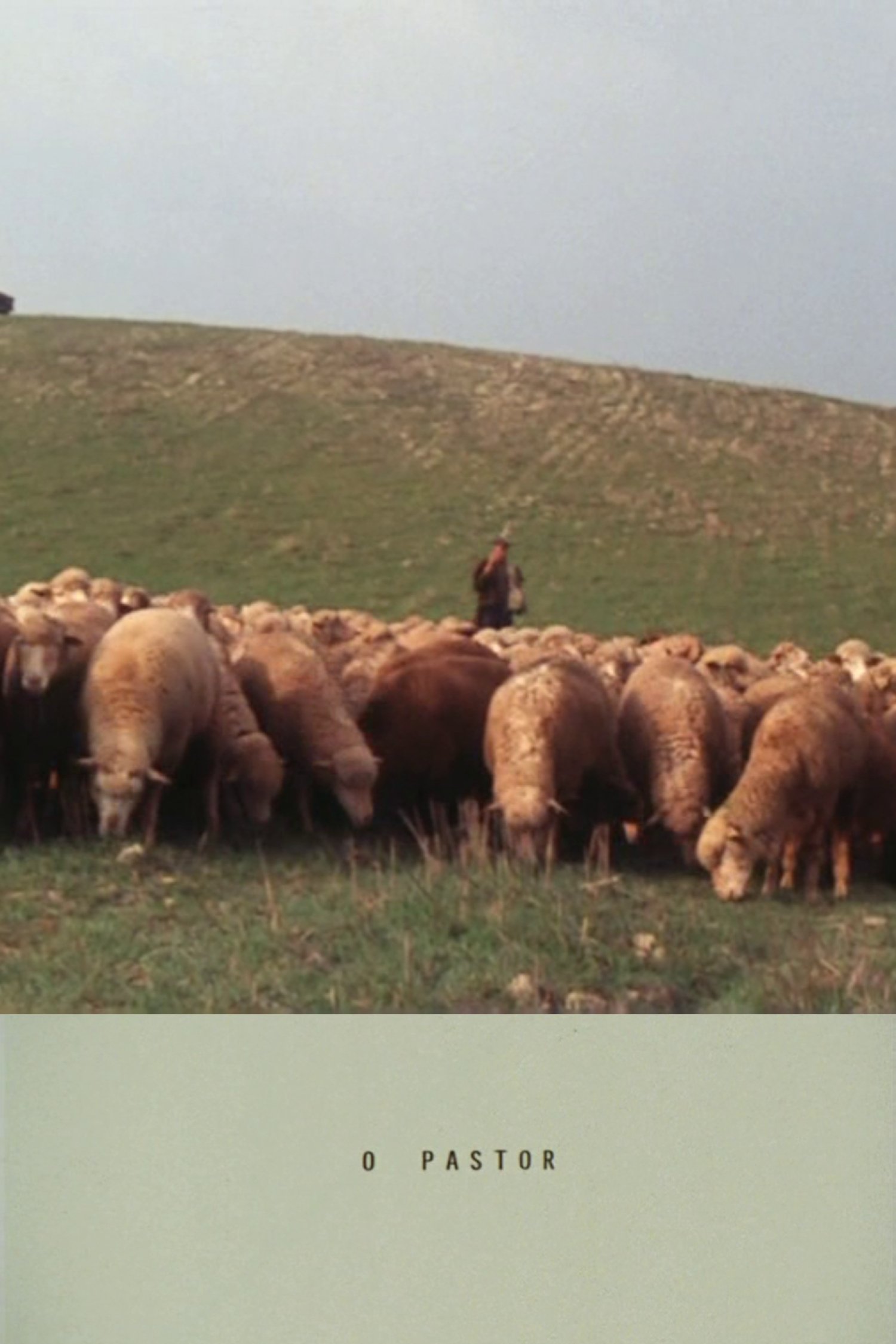 The Shepherd poster