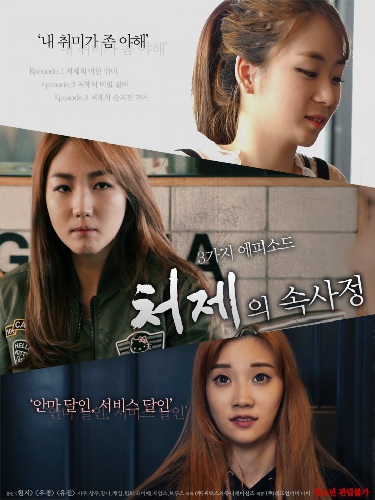 The Sister-in-Law Affairs poster