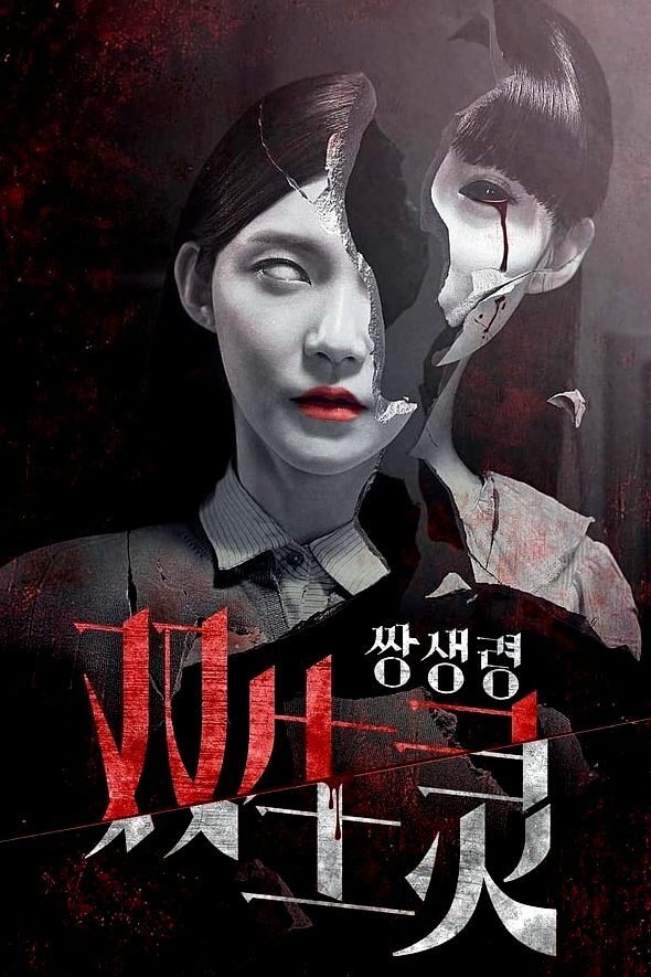 Twin Spirit poster